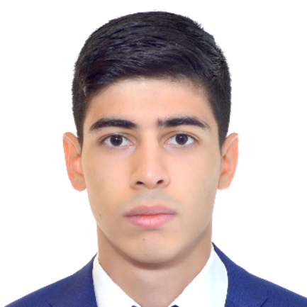Aram Sargsian