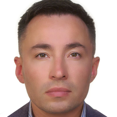 DMITRII DVORNIKOV